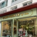 365문정사랑의원 | 하비오플라워바이수 : 기념일 선물하기 좋은 송파 문정역 꽃집 추천