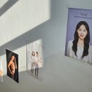 페트레잇