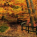 수풀산장 이미지