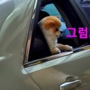 더벤티인천석남점