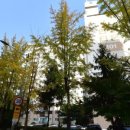 청구하이츠아파트 이미지