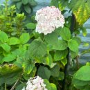 금강장여관 이미지