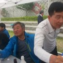 탕정초등학교 이미지