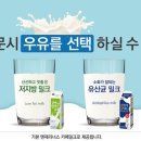 엔제리너스 이미지