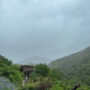 들꽃산장 | 포항 선류산장 : 비 오는 날 가기 좋은 카페 ☔