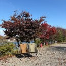 용설호수 편의점 | [안성 캠핑장 추천] 서울 근교 전 사이트 호수뷰 ‘용설호수캠핑장’ 7번 사이트 이용후기