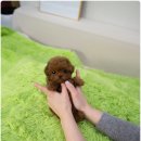 건강생활 광주지점