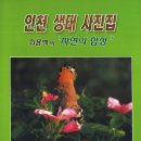 오성문화사 Daum카페