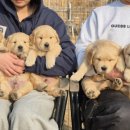 쿨스타스 이미지