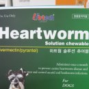 지묘제일약국 이미지