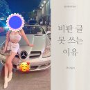 주간일기 블로거지만 비판을 할 수 없는 이유. 협박, 죽음, 수사권, 검찰, 청와대 개입