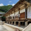 배롱나무길 | 구례 화엄사 홍매화 배롱나무 전남 여행 코스