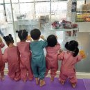 야호 어린이집 이미지