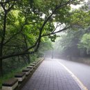 태종대요양병원 이미지