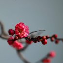 온고이지신 이미지