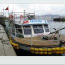 버드나무주유소 이미지