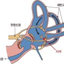 신통신경과의원 이미지