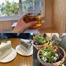 제주 쉬리니케이크 애월의 케이크 맛집