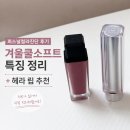 비비드포인 | 퍼스널컬러진단 후기｜겨울쿨 소프트 특징 정리 + 내돈내산 립스틱 추천