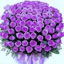 블루민 Daum카페
