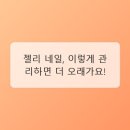 젤리네일 - 무안군 | 젤리네일