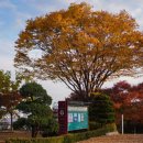 낭만안경 이미지