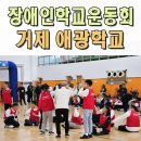 경북영광학교 | 장애인학교운동회 거제애광학교 체육대회 전문 이벤트업체 김해