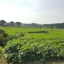 화옹지구공인중개사사무소 이미지