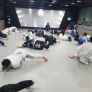 수락주짓수파라에스트라 서울 이미지