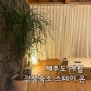 풀스테이더제주 | [제주숙소]애월감성숙소 독채풀빌라 스테이온제주 내돈내산 후기