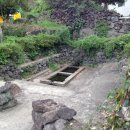 안덕면 통물(감산리) 이미지