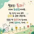 옥시페탈리움 &amp; 방풍나물 이미지