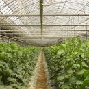 금남농장 이미지