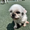 한유복동물병원 이미지