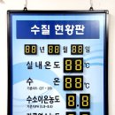 멀티스포렉스