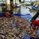 250519 첫 토론회… 침착한 김문수, 존재감 보인 이준석 이미지