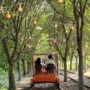 리베하임파크 이미지