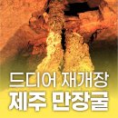 김녕초후 | 제주 만장굴 재개장 개장일 입장료 매표소 예약 총정리