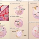 자연안에 한방병원 이미지