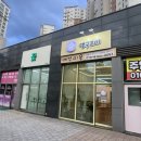 댕구르미 이미지