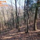 하천리-12 이미지