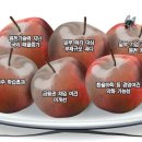 동부상사(시장) 이미지