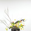 자연꽃예술원