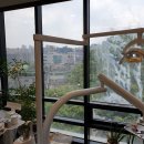 상아치과의원 이미지