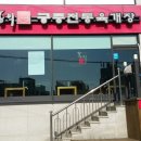 홍익 궁중 전통 육개장 울산방어점