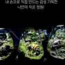 아쿠아가든카페 이미지