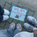 멀미 심한 사람이 쓰시마링크호 타고 당일치기로 다녀온 대마도 히타카츠 배멀미 후기
