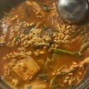 참새방아깐 이미지