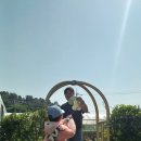 포르테몬테소리 어린이집 네이버블로그