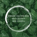 메디랩스